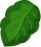 Leaf-vector